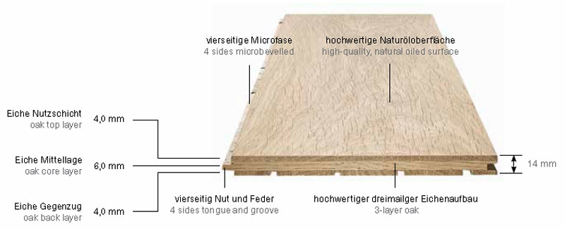 Aufbau Solum Triplett